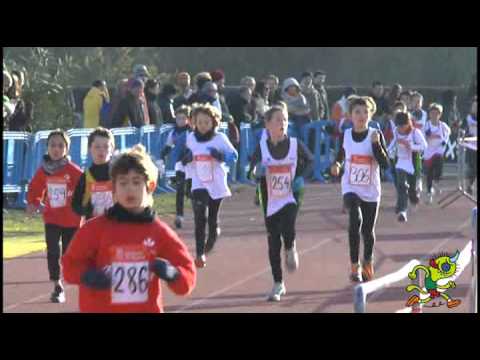 Cross NAcional Hiru Herri 2012  Alevin MAsculino