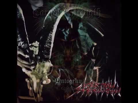 Carnal Strenght - Under the law of the strongest