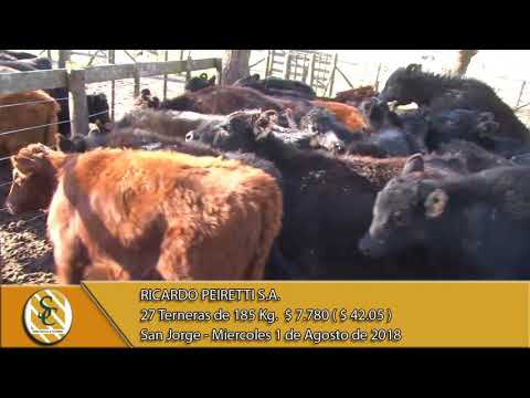 01-08-18 Venta de Hembras - Ricardo Peiretti S.A. - San Jorge.