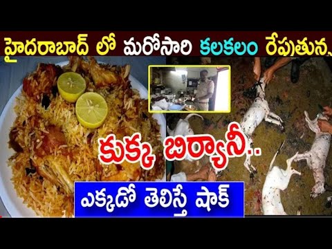 Viral news on dog food in chicken biryani
