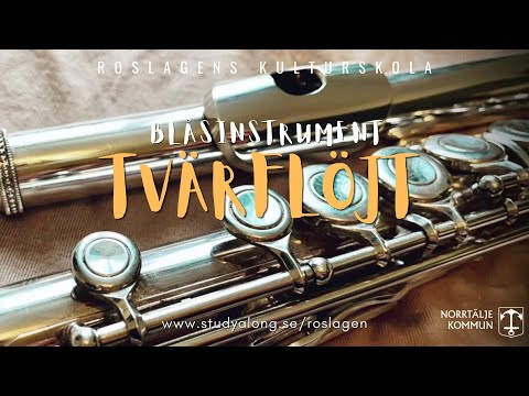 Roslagens Kulturskola - Tvärflöjt