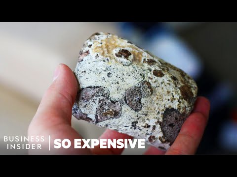 What is Ambergris and What Makes it THAT Expensive?