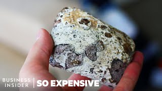 Why Whale Poop Is So Expensive | So Expensive