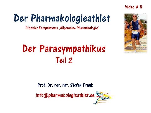 Das autonome Nervensystem: der Parasympathikus - Teil 2 !