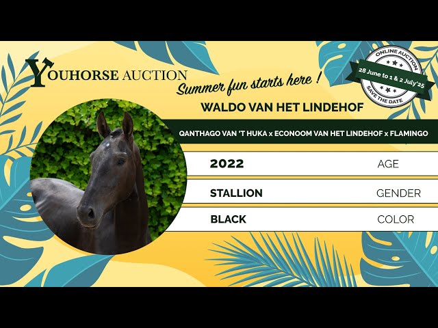 Waldo van het Lindenhof