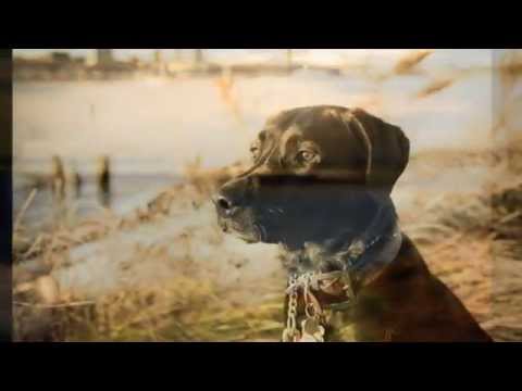 EL SOL PARECE LLUVIA - Raly Barrionuevo