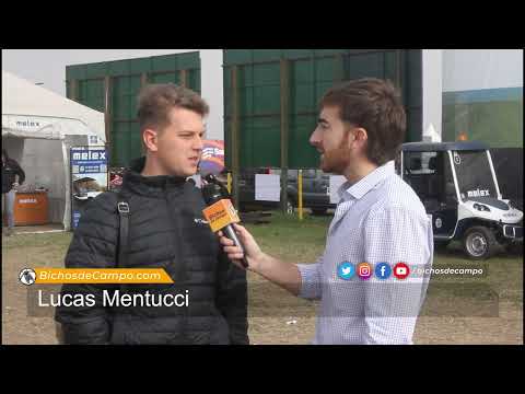 Lucas Mentucci, productor de Achiras, Córdoba