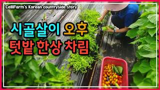 이맛에 시골살아요~ 텃밭 작물로 맛있는 저녁밥상 뚝딱! 첼리팜 시골이야기 CelliFarm's Korean …