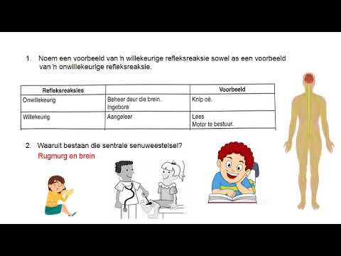 LEWENSWETENSKAP GRAAD 9: 13 Augustus 2020 - periode 7 (13097)