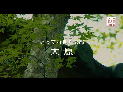 とっておきの京都プロジェクト 大原
