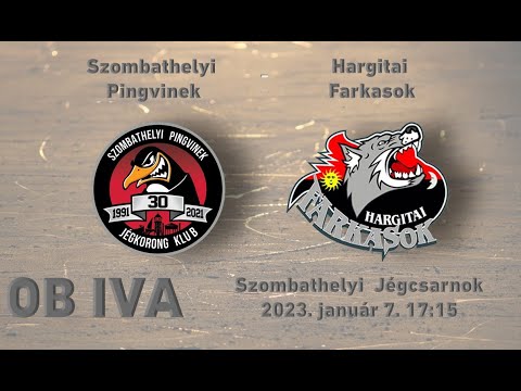 OBIVA 22 Szombathelyi Pingvinek - Hargitai Farkasok (élő közvetítés)