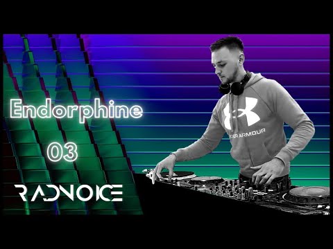 Tech House | Melodic House | Progressive House | Mix January 2022 [ENDORPHINE 03]