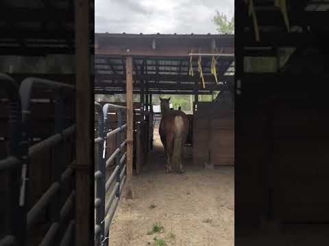 TAG 3879 Training USA 3