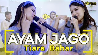 Download lagu AYAM JAGO - TIARA BAHAR (  LIVE MUSIC COVER ) mp3 Download lagu AYAM JAGO - TIARA BAHAR (  LIVE MUSIC COVER ) mp3