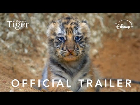 Tiger Movie Trailer