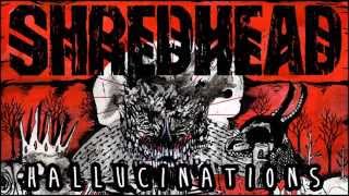 SHREDHEAD - Hallucinations