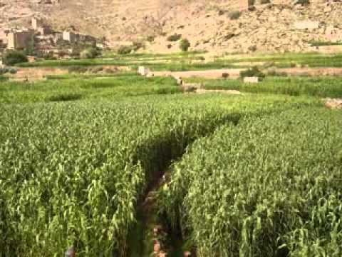 اجمل ما سمعت بصوت وتراث شعيبي