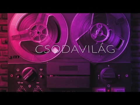 Janicsák István - Csodavilág