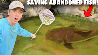 I Saved Abandoned Fish LIVING in Green Slime Pond!