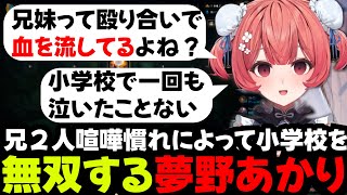 【雑談】2周年記念感謝配信雑談まとめ【あかりん/夢野あかり/切り抜き/ぶいすぽ/#vtuber】