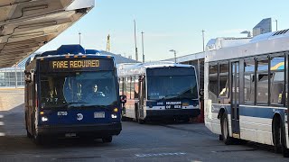 Full Ride 2021 Novabus LFS #8759 on S44 to Staten Island Mall Yukon Avenue via Richmond Avenue