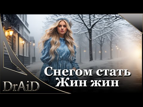 Снегом стать-Жин жин (Remix by DrAiD)