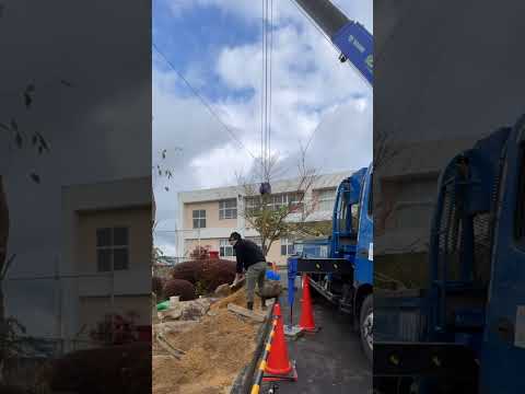 どの動物が庭に穴を掘っているのかを知るにはどうすればよいですか?これらのサインがあなたに教えてくれます！  庭園