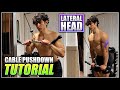How To Do The CABLE TRICEP PUSHDOWN 2 Minute Tutorial