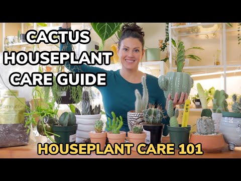 , title : 'Best Cacti Care Tips - Cactus Watering, Lighting, Repotting, Soil, Fertilizing - Houseplant Care 101'