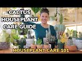 Best Cacti Care Tips Cactus Watering Lighting Repotting Soil Fertilizing Houseplant Care 101