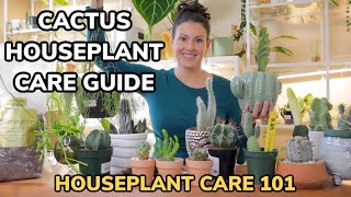 Best Cacti Care Tips - Cactus Watering, Lighting, Repotting, Soil, Fertilizing - Houseplant Care 101