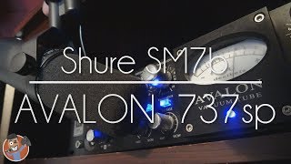 Video thumbnail for Shure SM7b Mic Test with Avalon Vt 737sp by Lo Knows