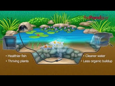 Importance of Water Garden Aeration