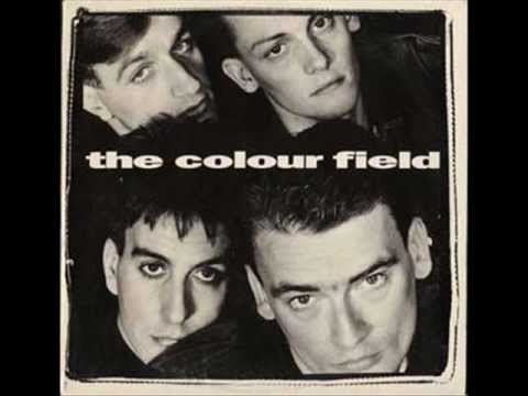 THE COLOUR FIELD - THE COLOUR FIELD - SORRY