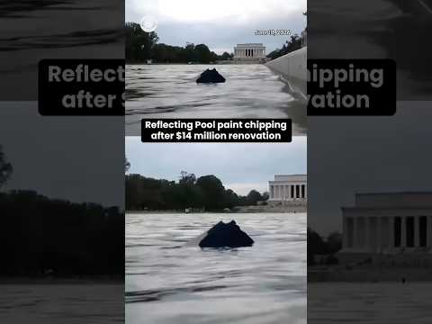 Reflecting Pool paint chipping after $14 million renovation #shorts