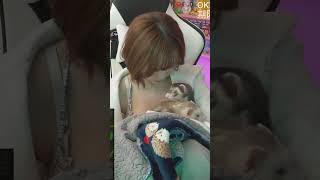 にょろにょろにょろカワイ子ちゃん | #aisakamegumi (#Twitch)