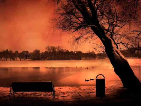 FADO CRAVO (VIELA) - Fado