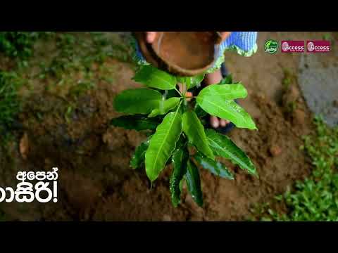 අනාගතයට හුස්මක් Cover