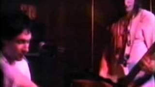 Peter Jefferies - "Guided Tour Of A Well Known Street / Bad Politics (Dead C cover) (medley)"