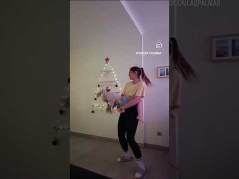 Celia López Hoya-4