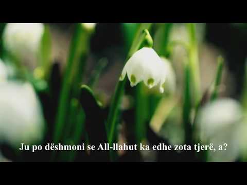 qeteso zemren me kuran