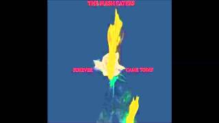 The Flesh Eaters - Shallow Water