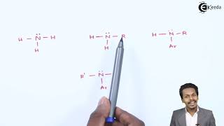 Amines & its Classifications - Compounds Containing Nitrogen - Chemistry Class 12