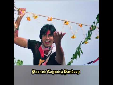 Mach Gaya Shor Sari Nagri Re | Full Video Song | Khuddaar Song | Amitabh Bachchan | Parveen Babi