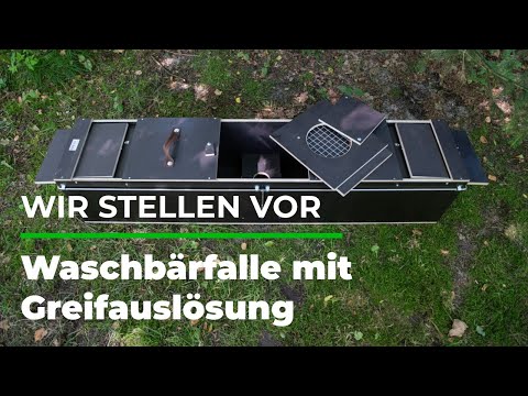 Wir stellen vor: Waschbärfalle mit Greifauslösung | GRUBE.DE
