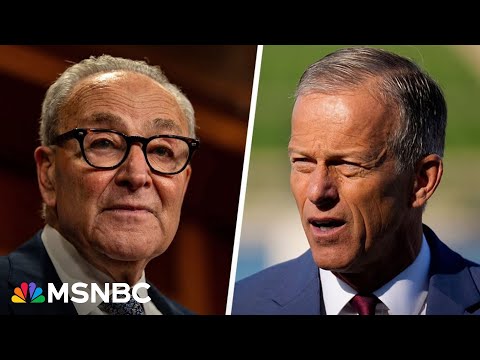 Several Senate Democrats may vote with Republicans to end shutdown today: Former Senator