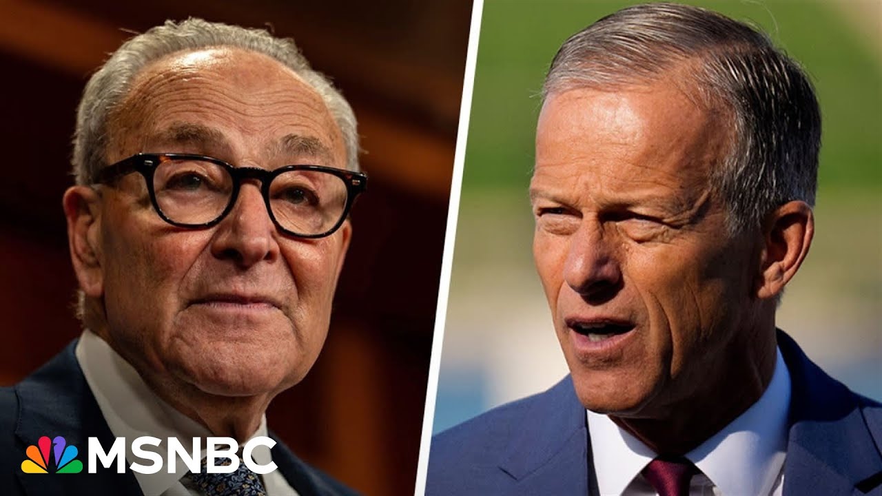 Several Senate Democrats may vote with Republicans to end shutdown today: Former Senator