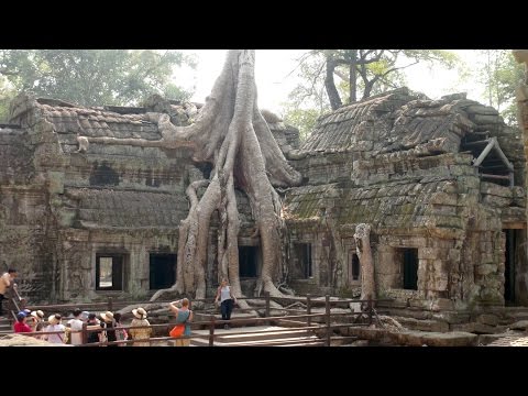 Consuming Angkor (Ta Prohm temple, Angko