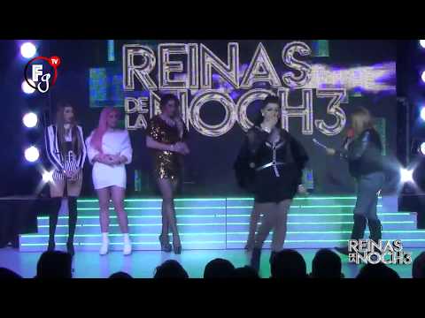 REINAS DE LA NOCHE 3 / SEMANA 14 - CANAL FARANDULA GAY