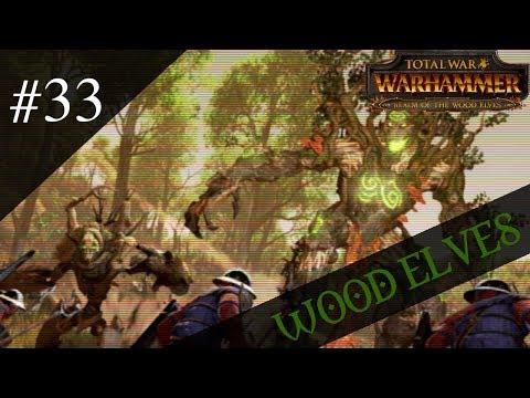 Dr.Z hraje... ☠ Total War: WARHAMMER CZ 33 ☠ - Lesní elfové!